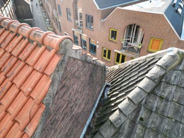 Delta Wonen