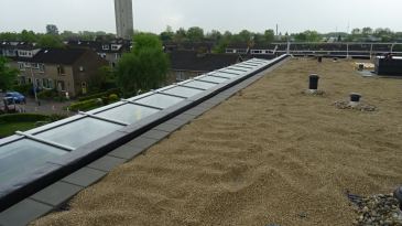 Fien Wonen